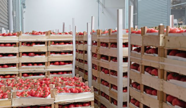 ecuafruits_mayorista-de-frutas-verduras-hortalizas-para-hosteleria-restauracion-empresas_improtacion-de-frutas-exoticas_distribuidor-de-pitahaya_madrid_distribuidor-de-frutas_hostelería-restauración_blog