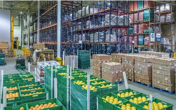 ecuafruits_mayorista-de-frutas-verduras-hortalizas-para-hosteleria-restauracion-empresas_improtacion-de-frutas-exoticas_distribuidor-de-pitahaya_madrid_distribuidor-de-frutas_hostelería-restauración_frutas-frescas-a-domicilio_blog