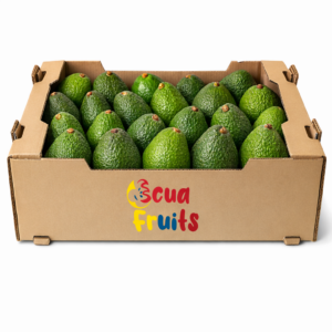 Aguacate Trops