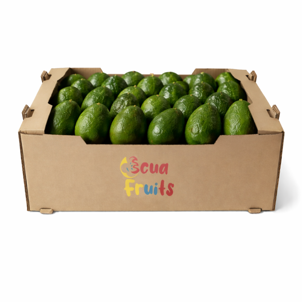 ecuafruits_mayorista-de-frutas-verduras-hortalizas_proveedor-para-hosteleria-restauracion-comercios_madrid