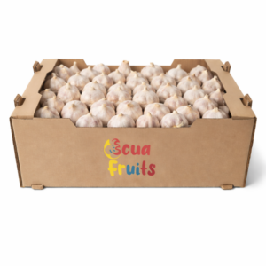 ecuafruits_imporatacion-exportacion_fruta_verdura_tropical_calidad-premium_nuestros-productos_ajos