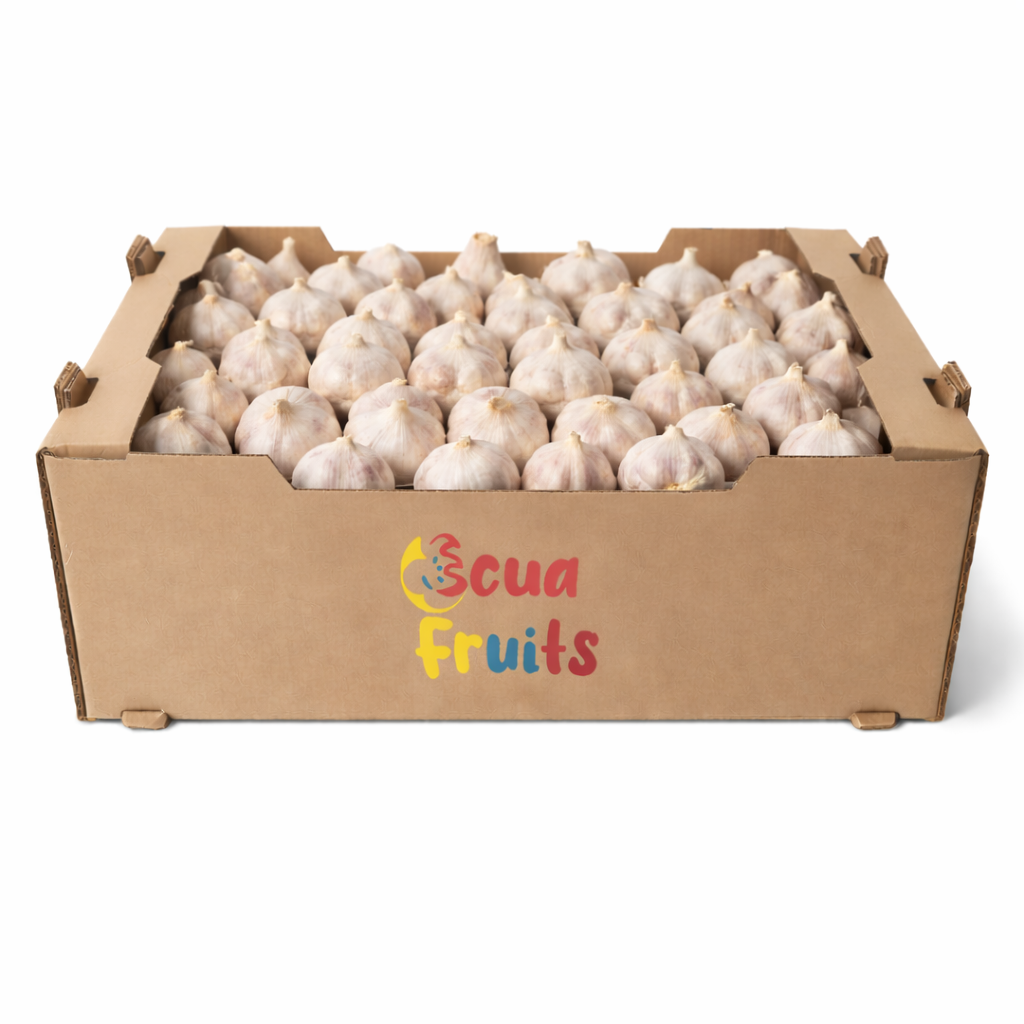 ecuafruits_imporatacion-exportacion_fruta_verdura_tropical_calidad-premium_nuestros-productos_ajos