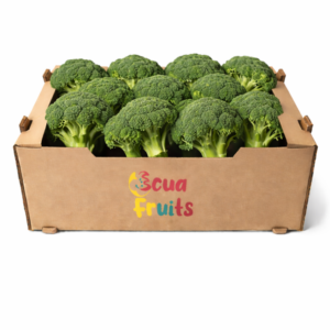 Brocoli