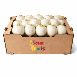 Cebolla blanca gorda/ 25 kg