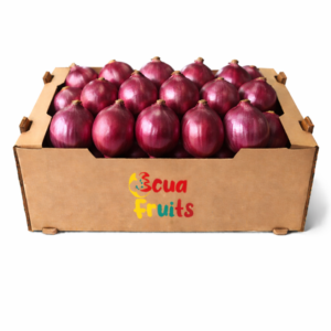 Cebolla roja/ 10 kg