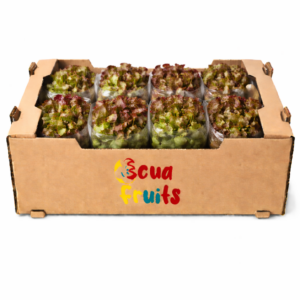 Hoja de Roble (Caja)