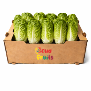 Lechuga Corazon/ Bandeja