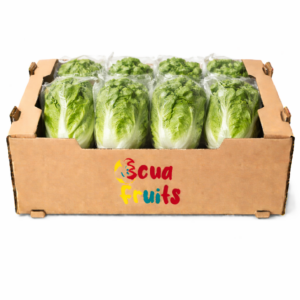 Lechuga Romana (Bolsa)