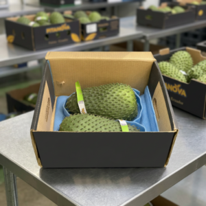 Guanabana
