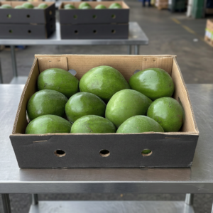 Abocado