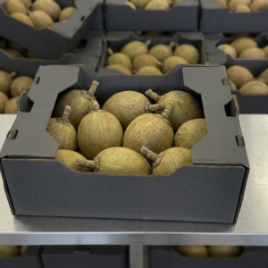 Zapote Ecuatoriano