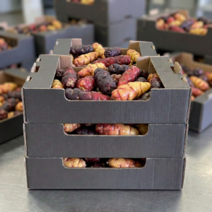 Oca