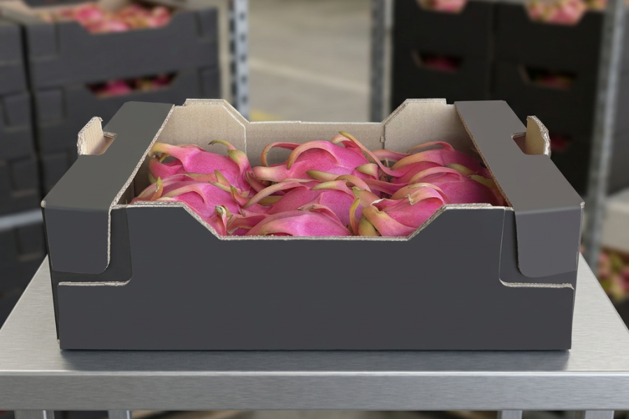 ecuafruits_imporatacion-exportacion_frutas-exoticas_frutas-tropicales_calidad-premium_2