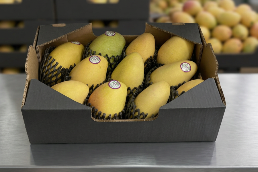 ecuafruits_imporatacion-exportacion_frutas-exoticas_frutas-tropicales_calidad-premium_22
