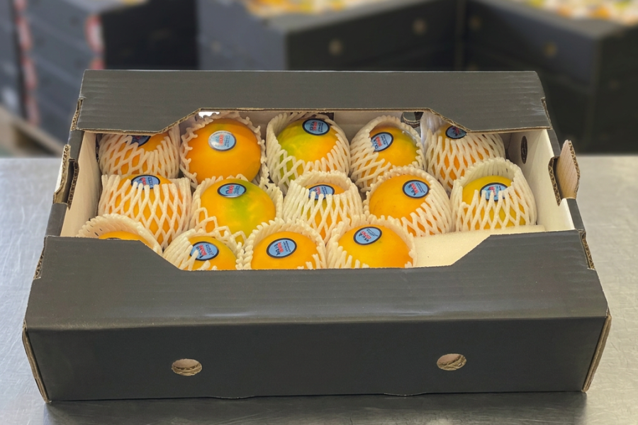ecuafruits_imporatacion-exportacion_frutas-exoticas_frutas-tropicales_calidad-premium_28